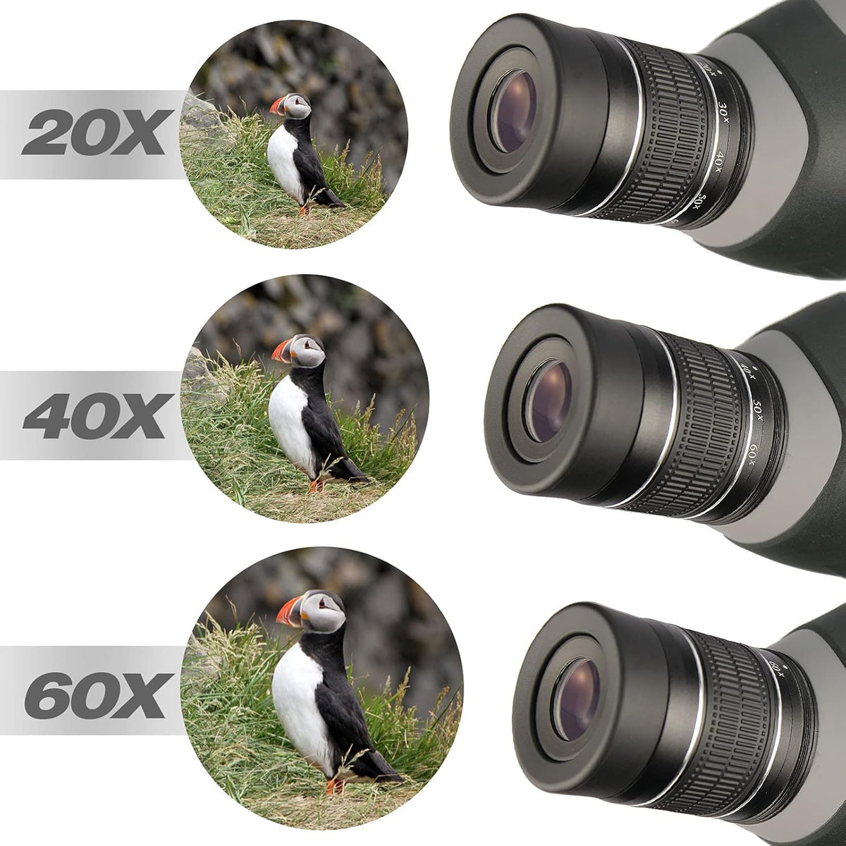 20-60X80 BAK4 Spotting Scope with Carrying Bag and Phone Adapter N213614