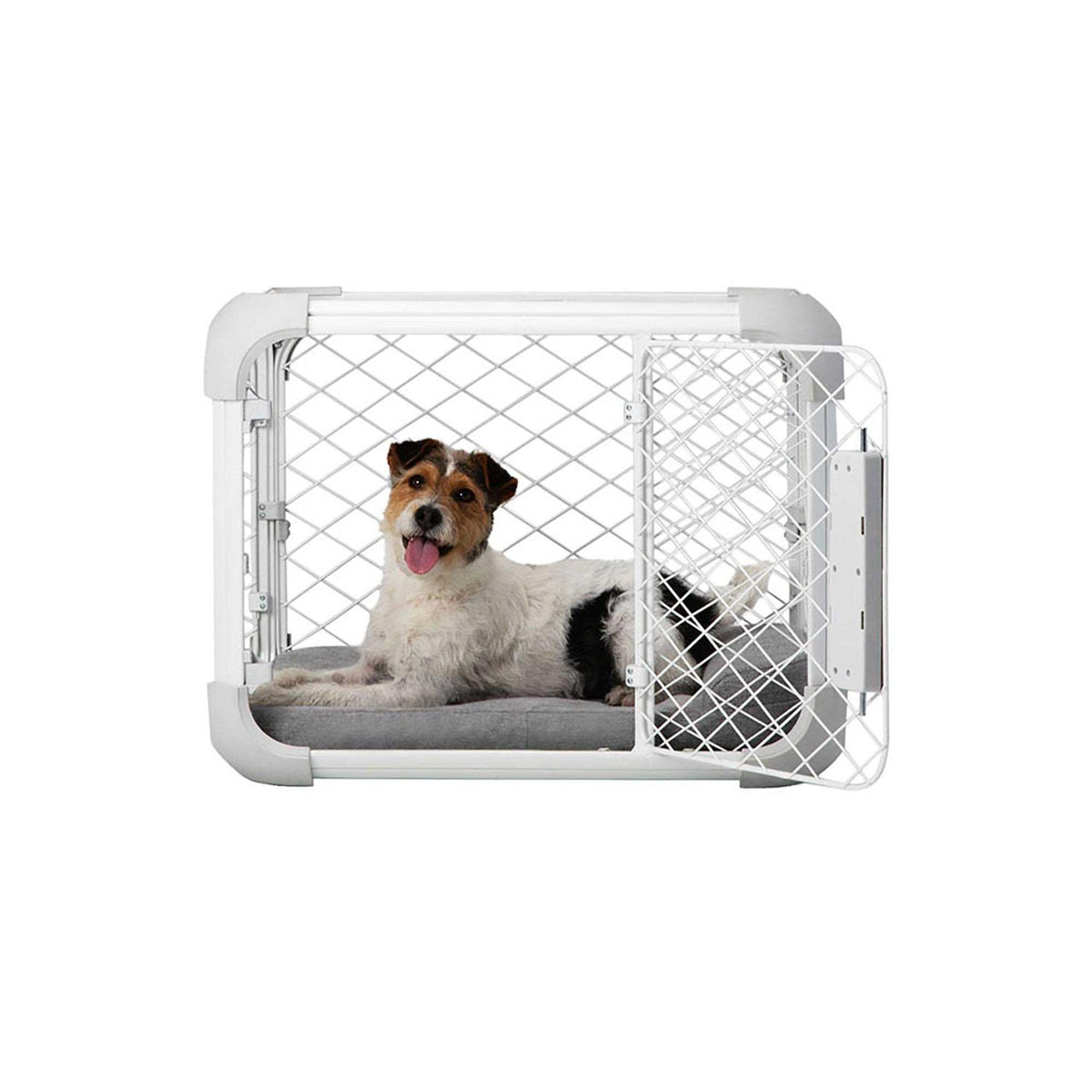 Dog Crate I58055