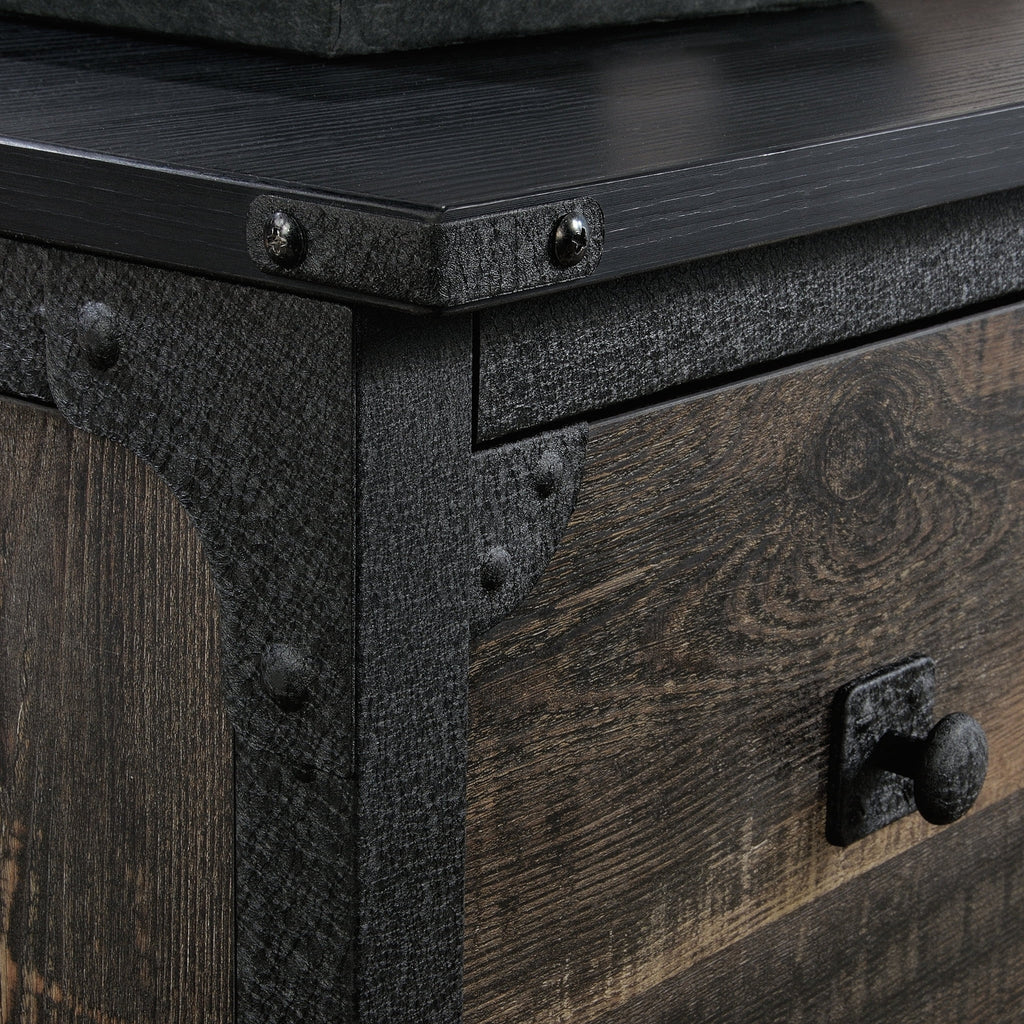 2-Drawer Lateral File Cabinet in Carbon Oak P725