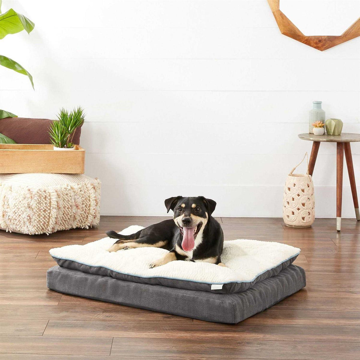 Plush Orthopedic Pillowtop Dog Bed with Removable Cover Y569