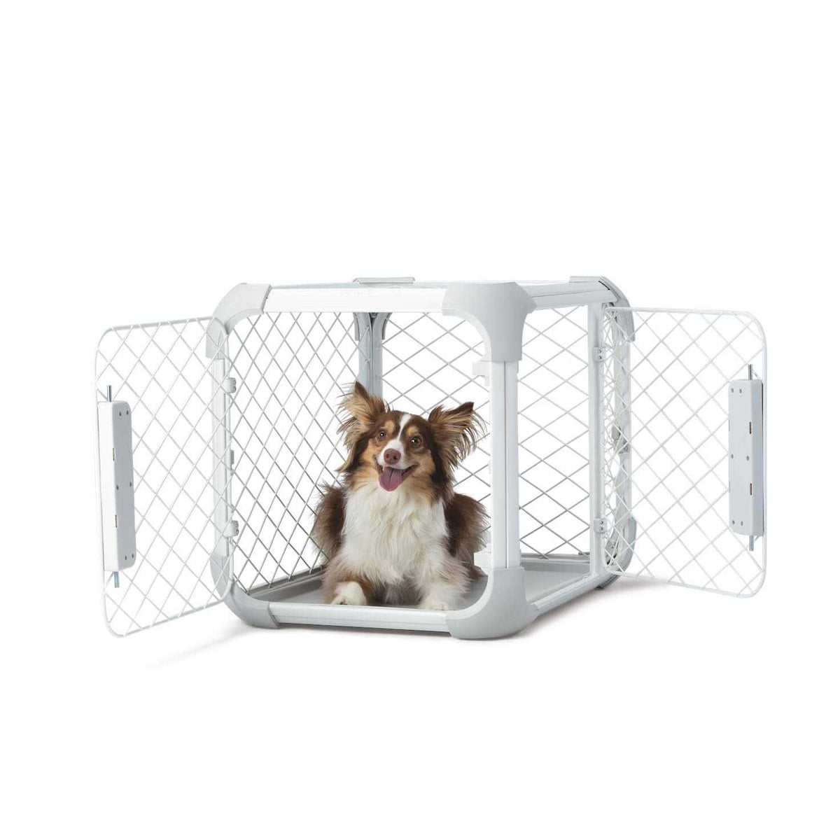 Dog Crate I58055