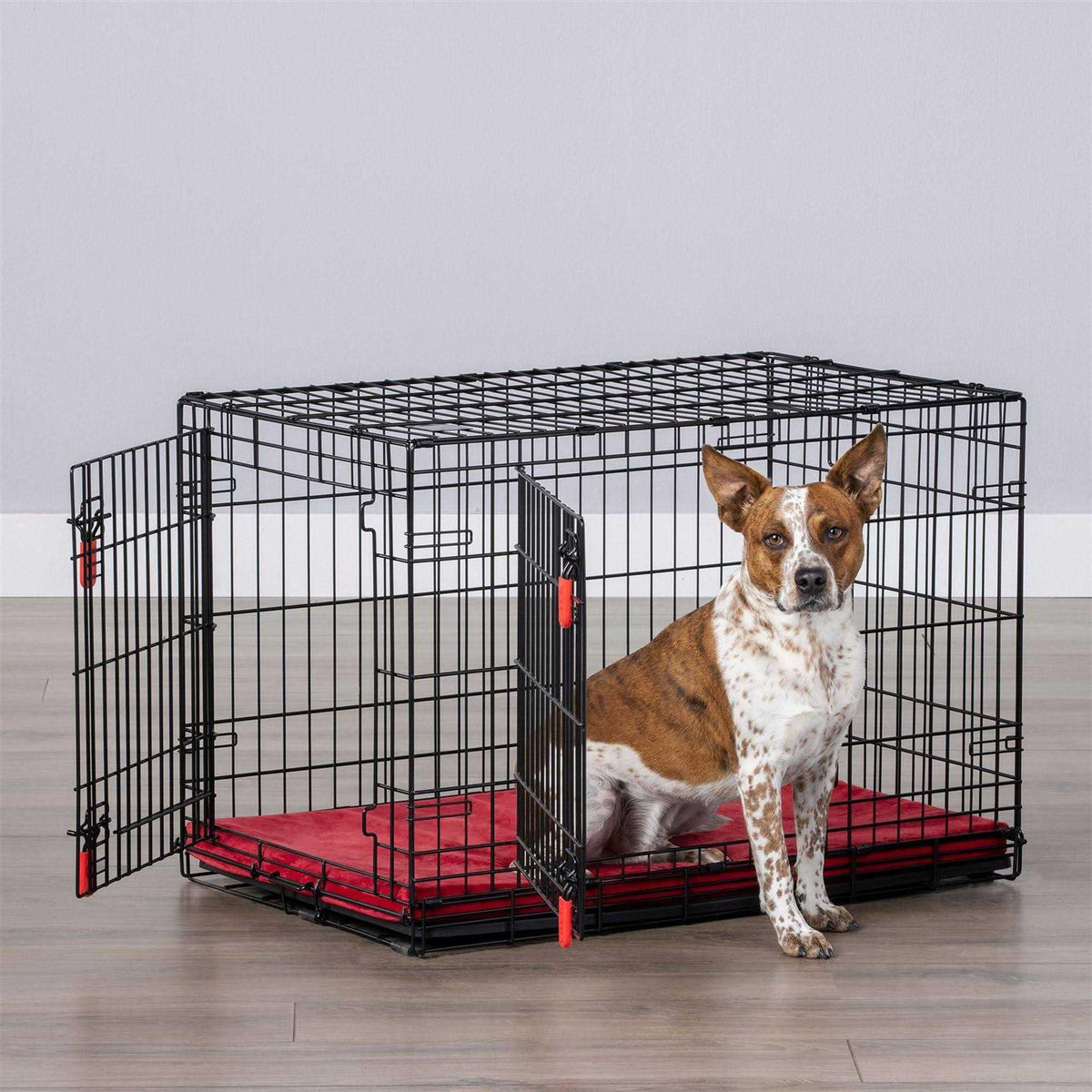 Double Door Wire Dog Crate with Divider Panel M534661