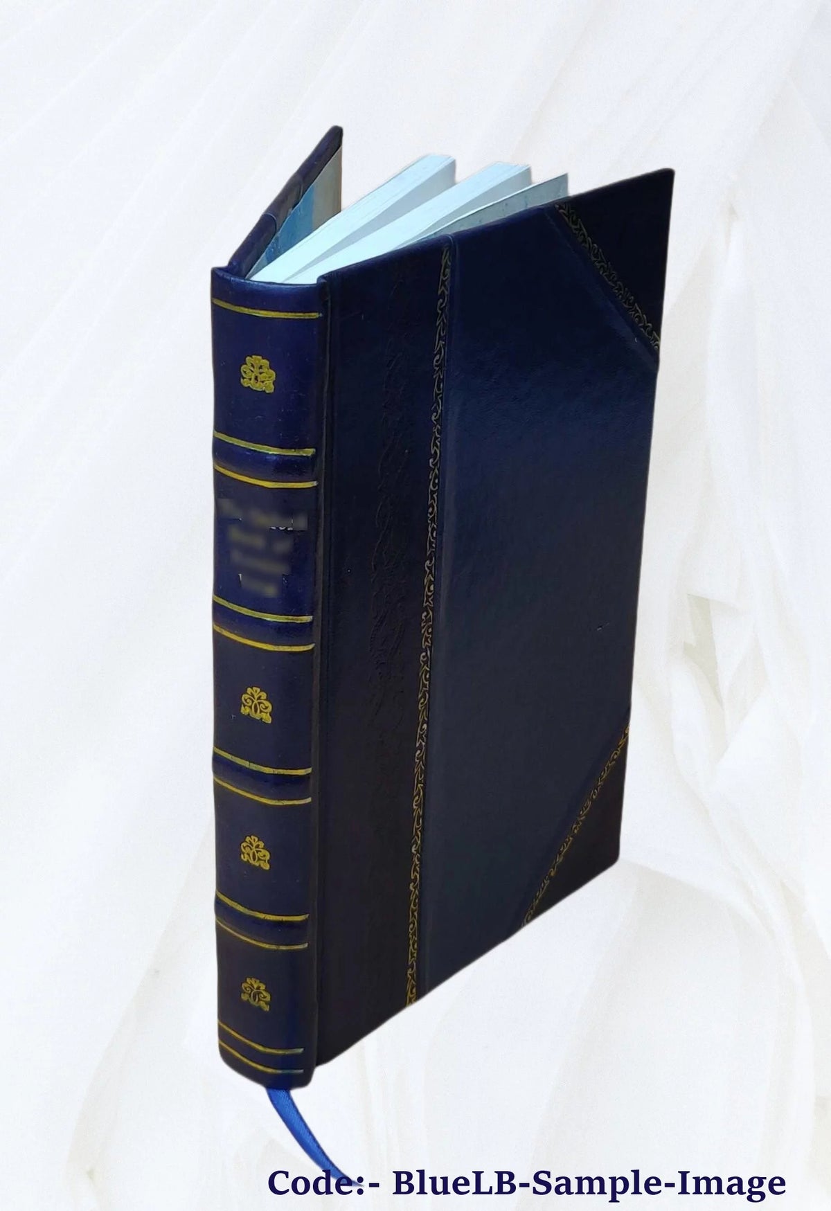 Elektro-Homoeopathie Grundsätze einer neuen Wissenschaft 1883 Leather Bound Z284043