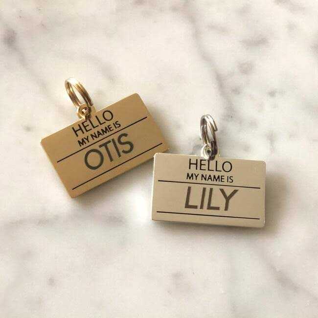 Hello My Name is ID Tag Z498