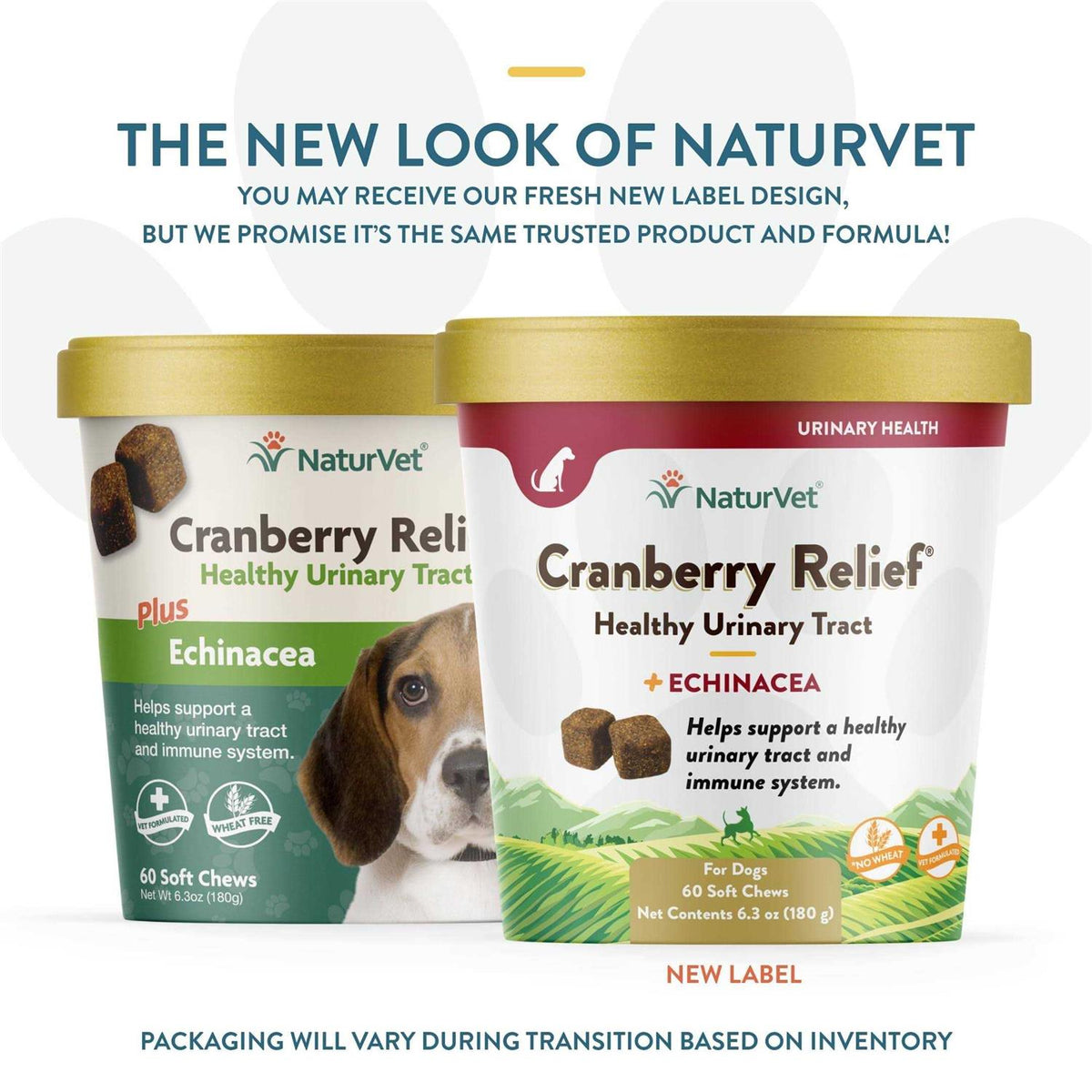 Cranberry Relief Plus Echinacea Pet Supplies J893116