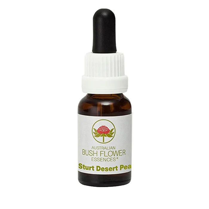 Sturt Desert Pea 15ml H4331