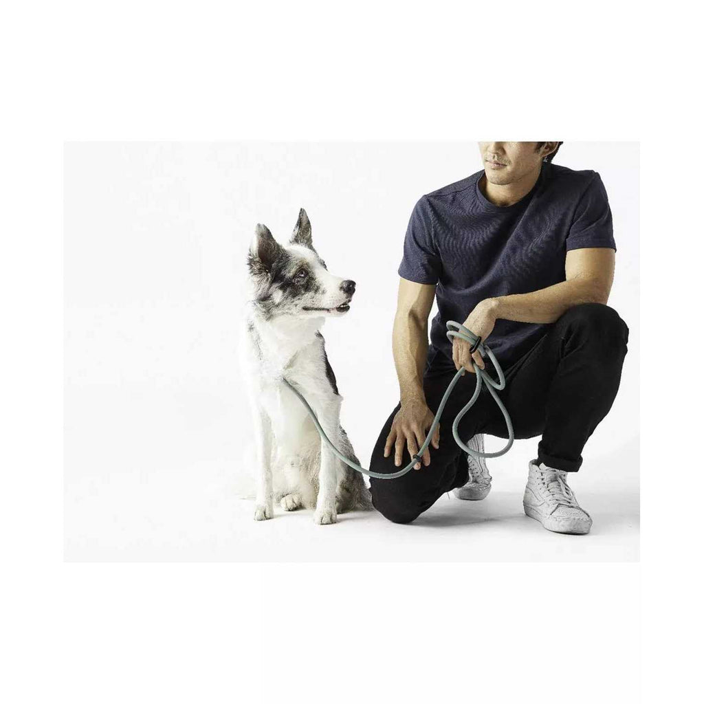 Hands-Free Dog Leash U873