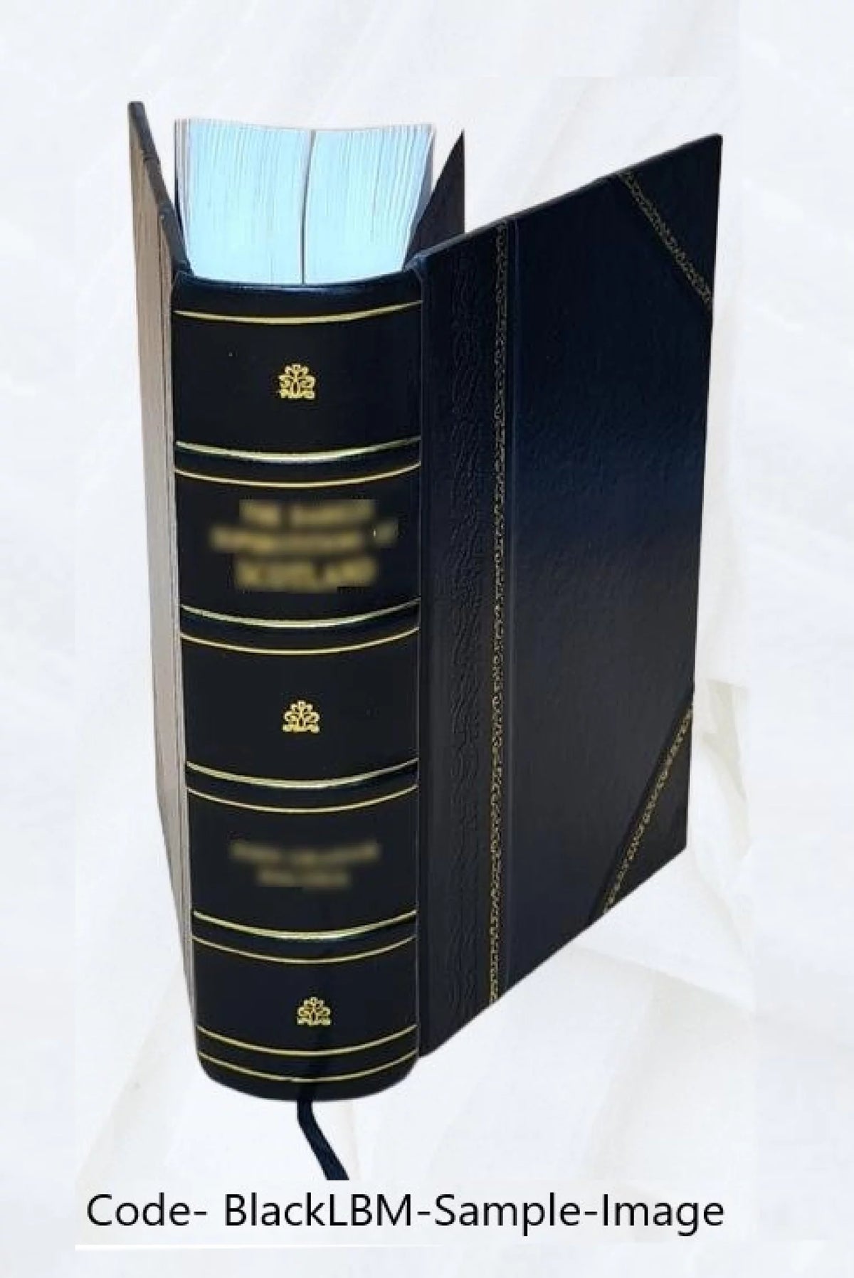 Leather Bound S457