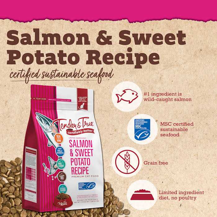 Salmon & Sweet Potato Recipe Dry Cat Food L6862
