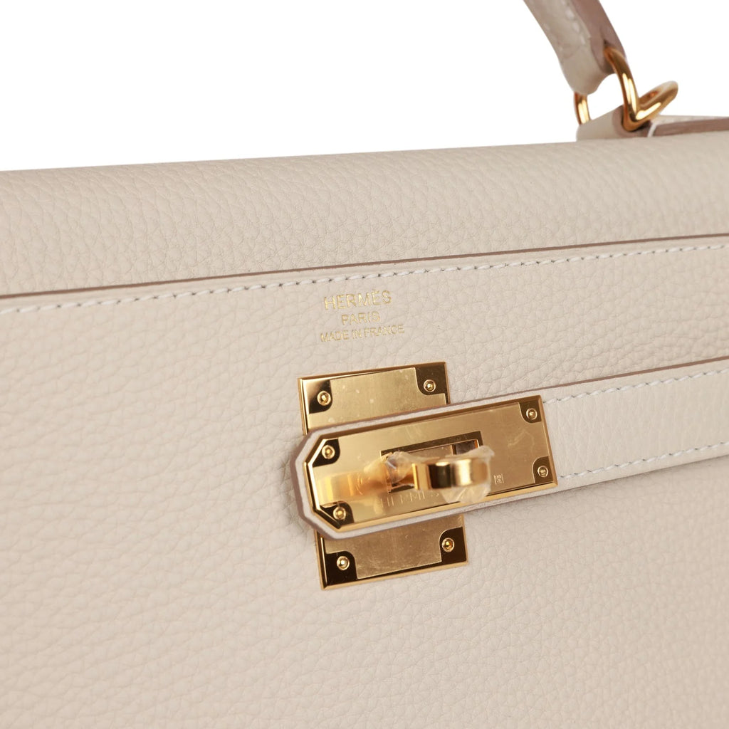 Craie Togo Leather Bag H9793
