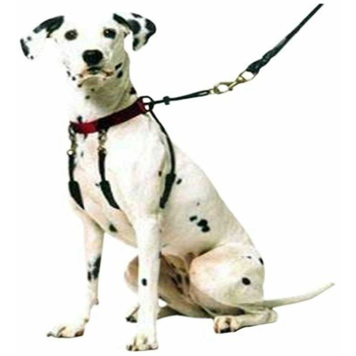 Training Halter R523602