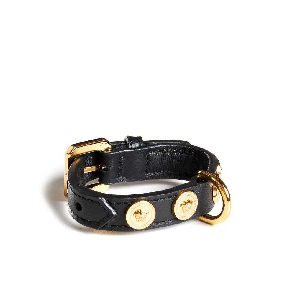 Small Pet Collar S675