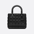Medium Lady Bag N73160