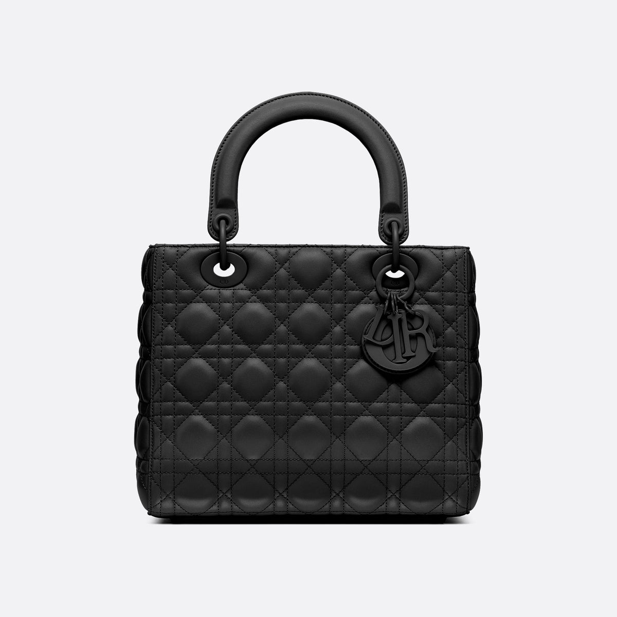Medium Lady Bag N73160