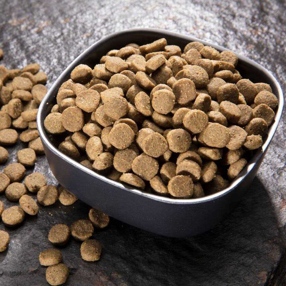 Grain Free Dry Cat Food O497662