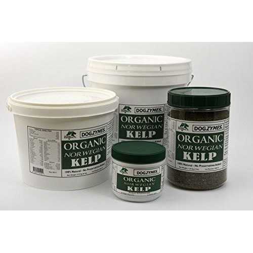 Organic Norwegian Kelp for Pets E771531