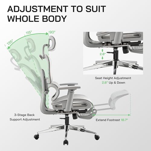 Ergonomic Mesh Office Chair with Footrest and Lumbar Support G9609