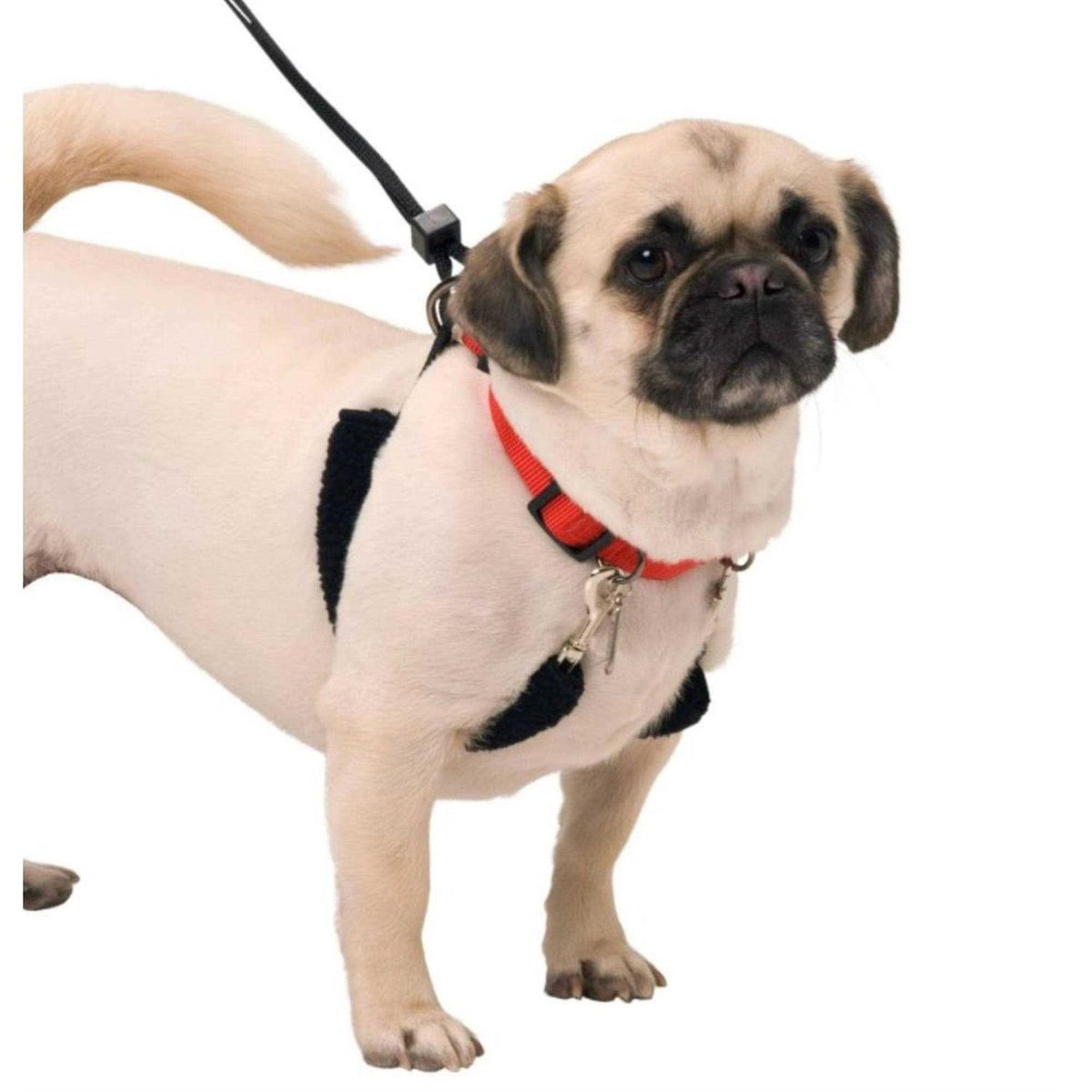 Training Halter R523602