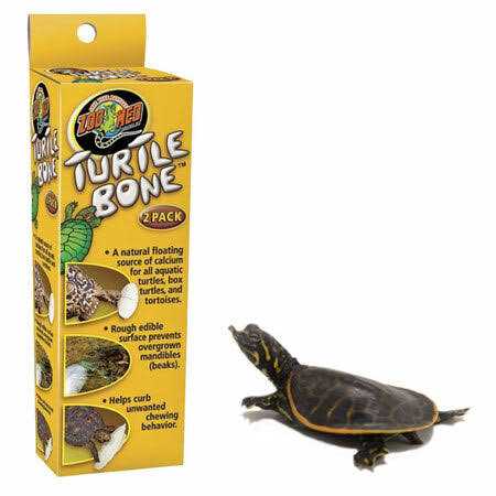 Turtle Bone N6637