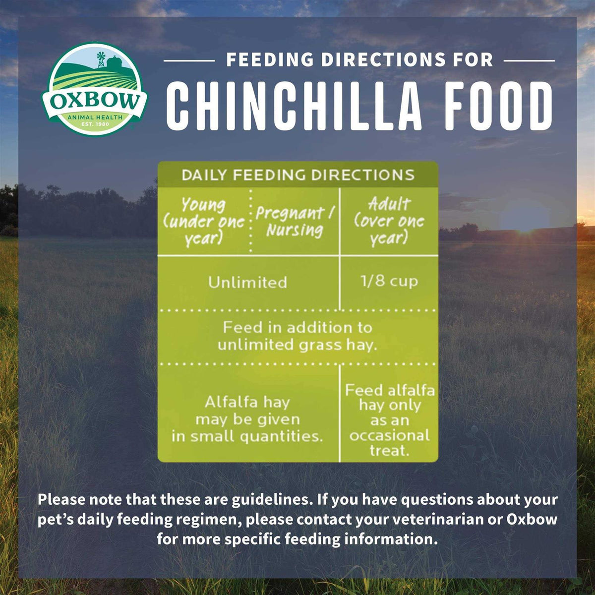 Chinchilla Food U48797