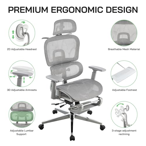 Ergonomic Mesh Office Chair with Footrest and Lumbar Support G9609