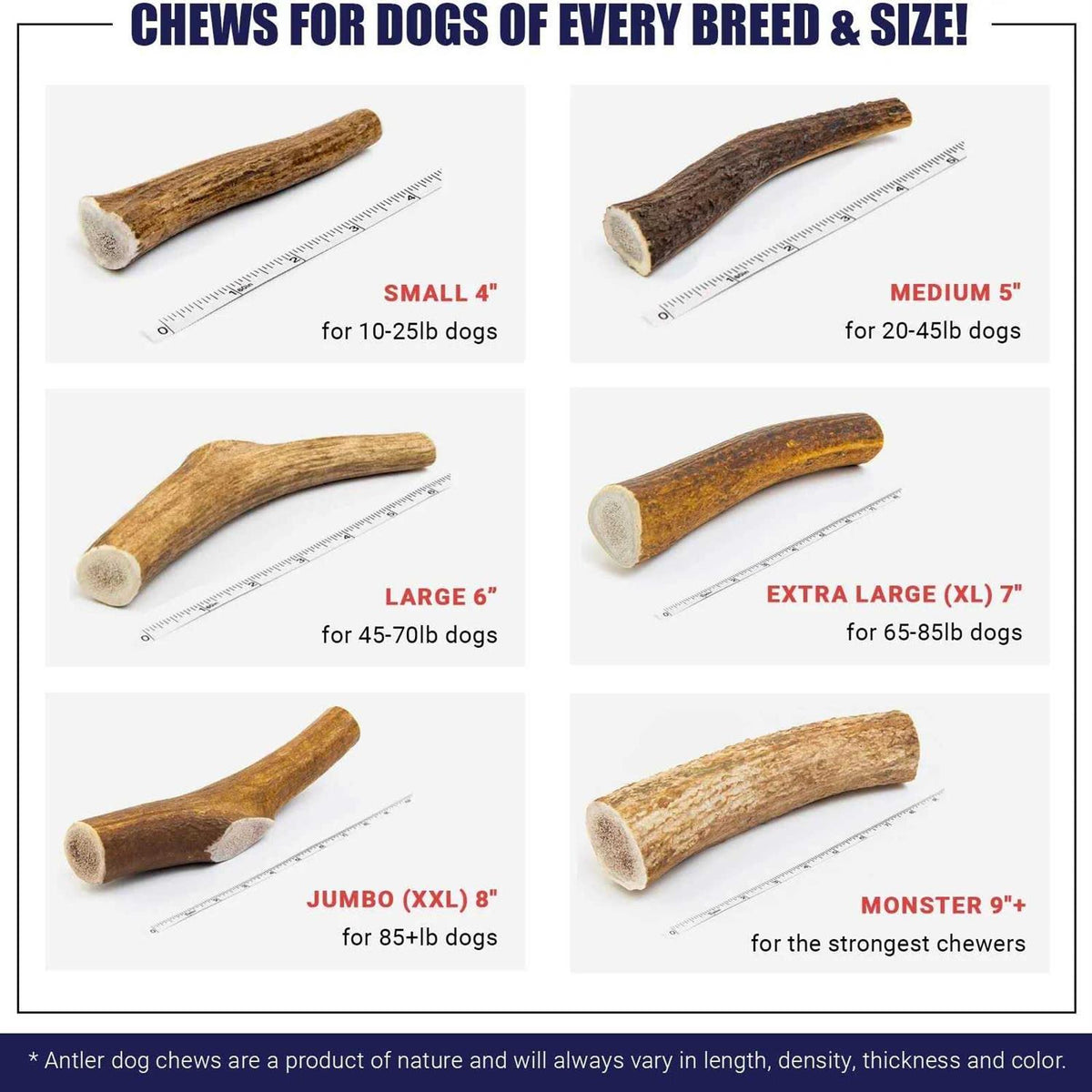 Elk Antler Dog Chew S77237