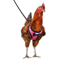Chicken Harness with 6ft Leash U85966