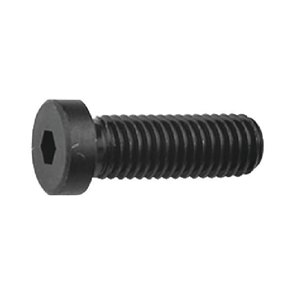 M12 x 45mm Low Head Cap V2338