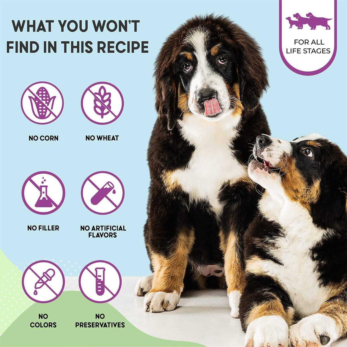 Chicken Brown Rice Dry Dog Food F67647