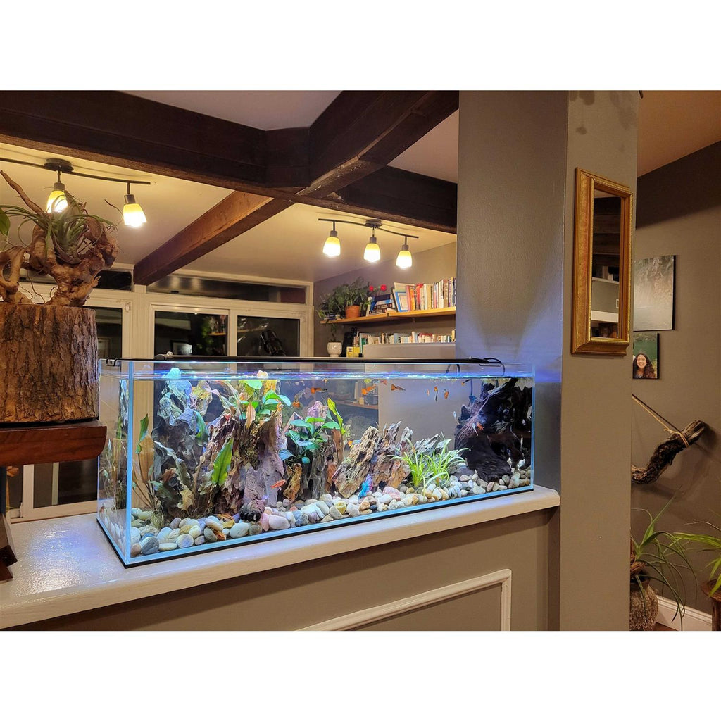 22 Gallon Clear Glass Bookshelf Aquarium Y22007