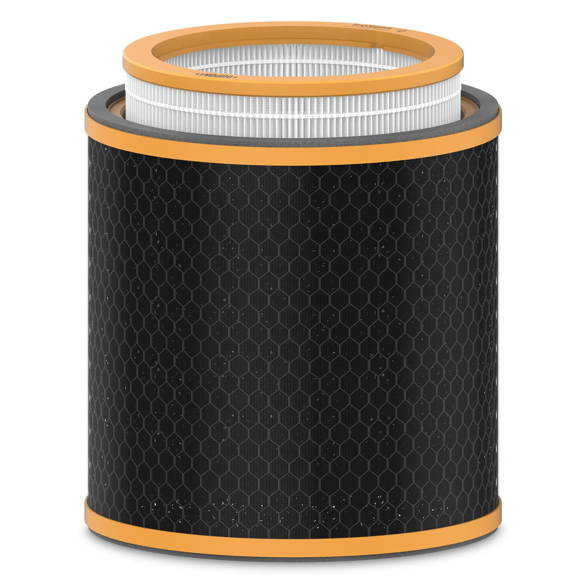 Odor & VOC Filter with True HEPA B231524