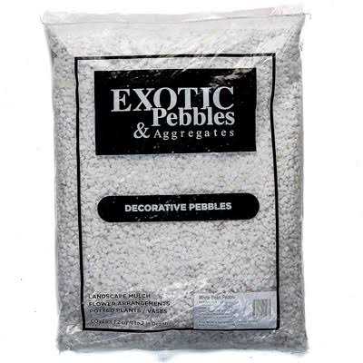 Bean Pebbles U87380