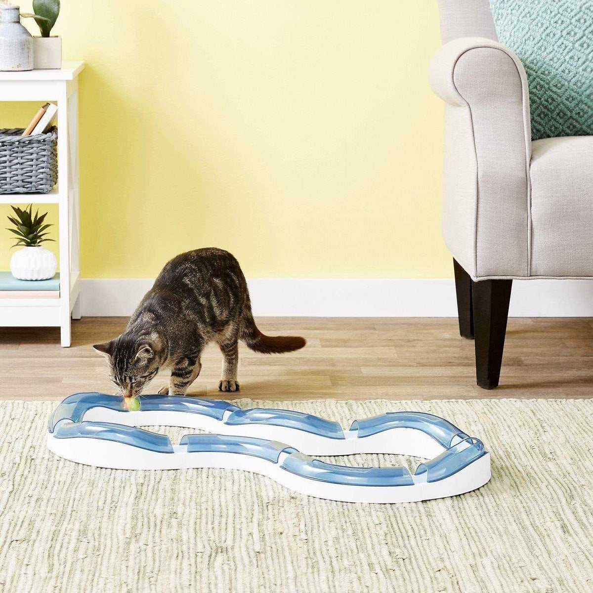 Cat Toy S530926