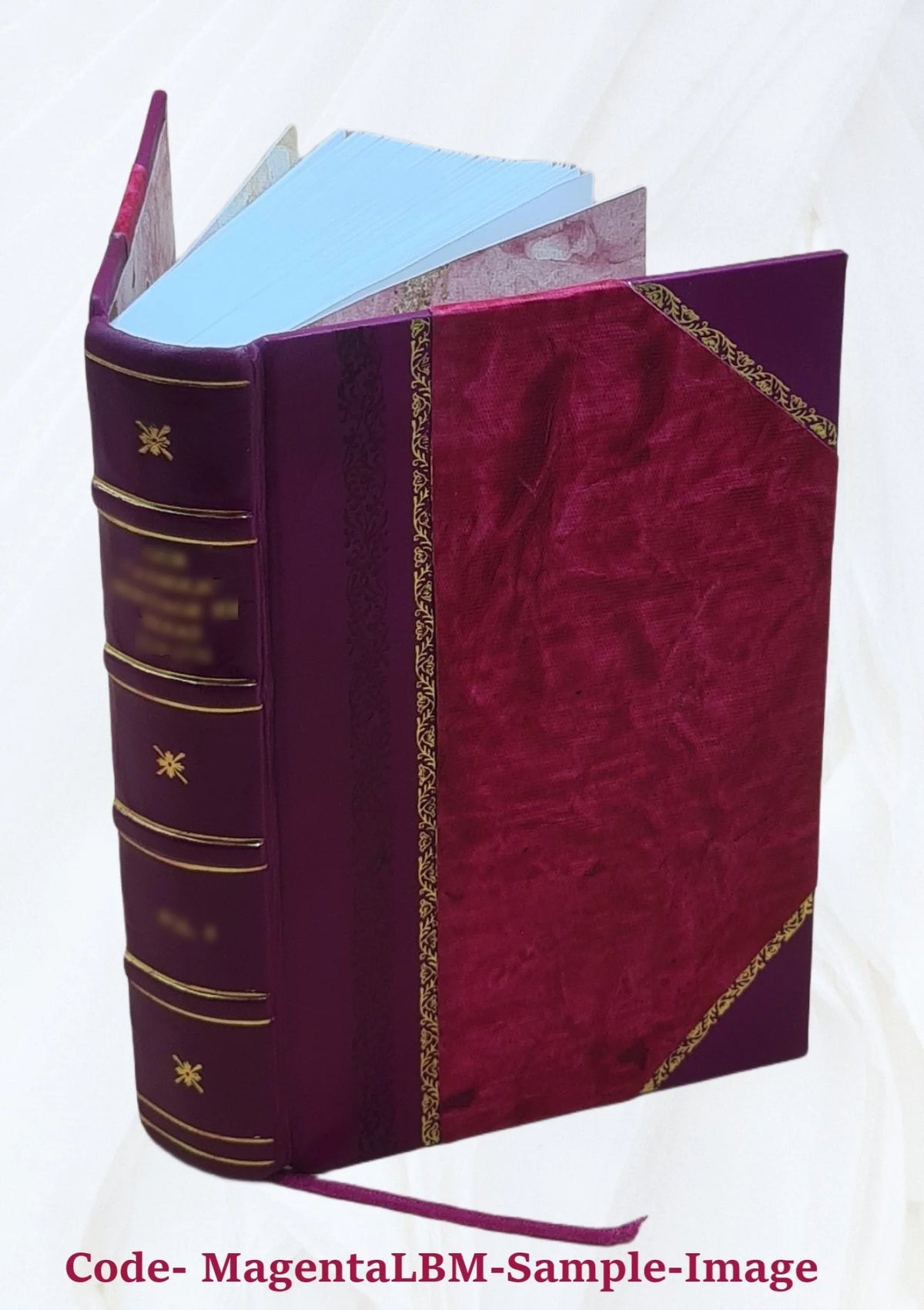 Leather Bound S457