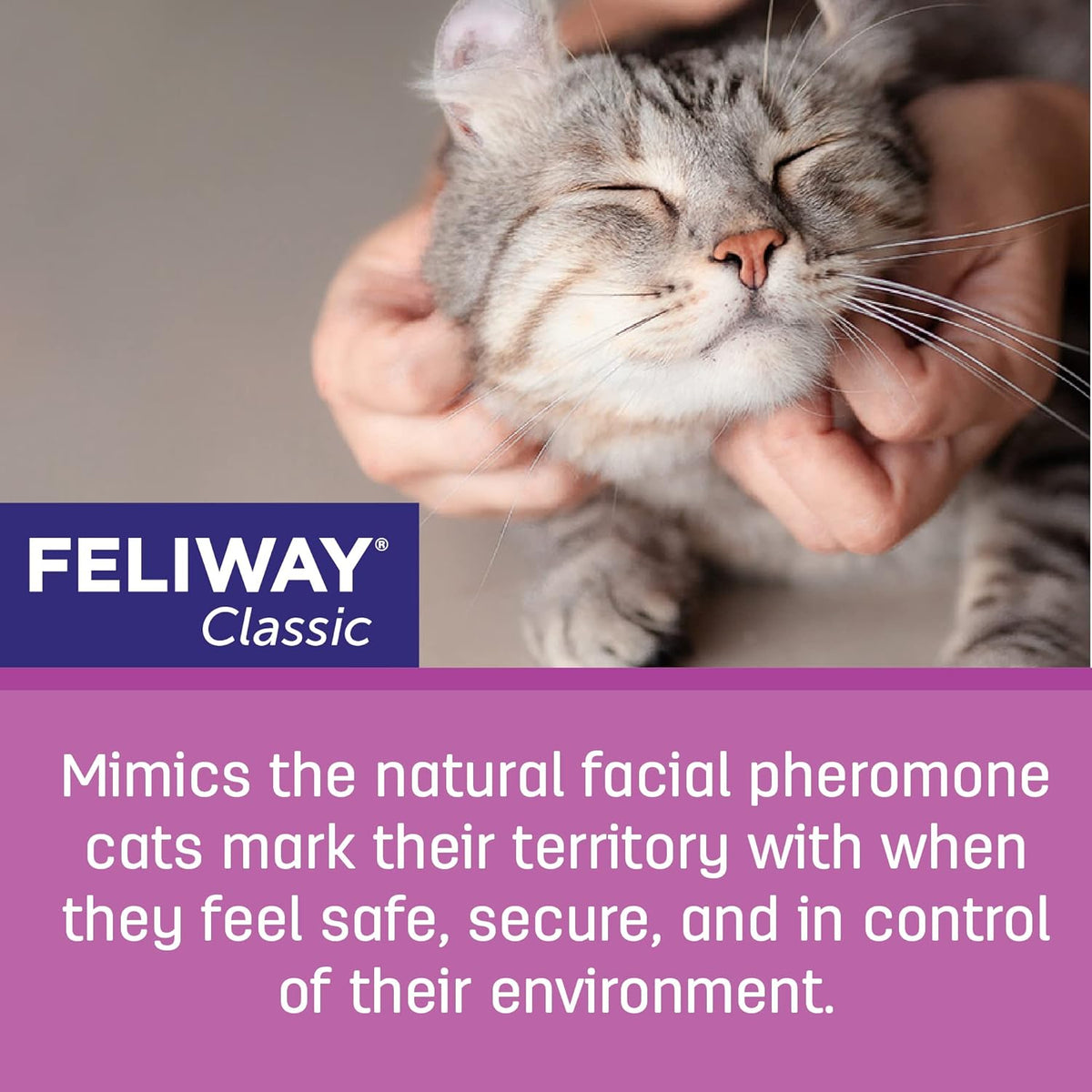 Cat Calming Pheromone 30 Day Refill 6 Pack T7973