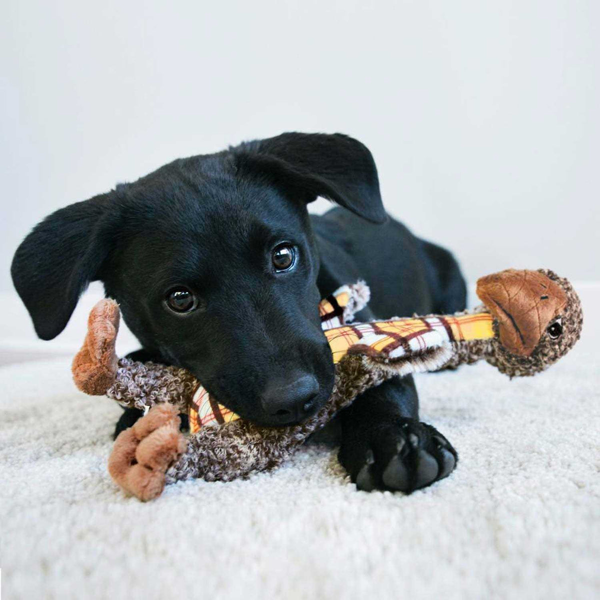 Elephant Dog Toy Z922