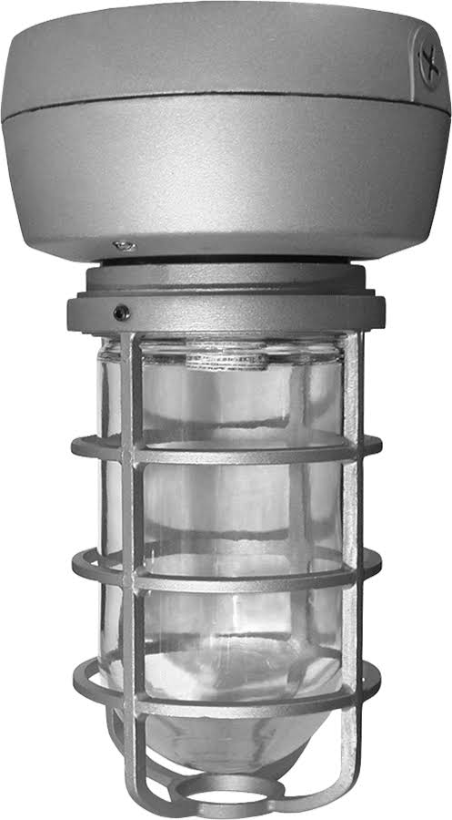 70W MH Ceiling Light with Glass Globe C5616