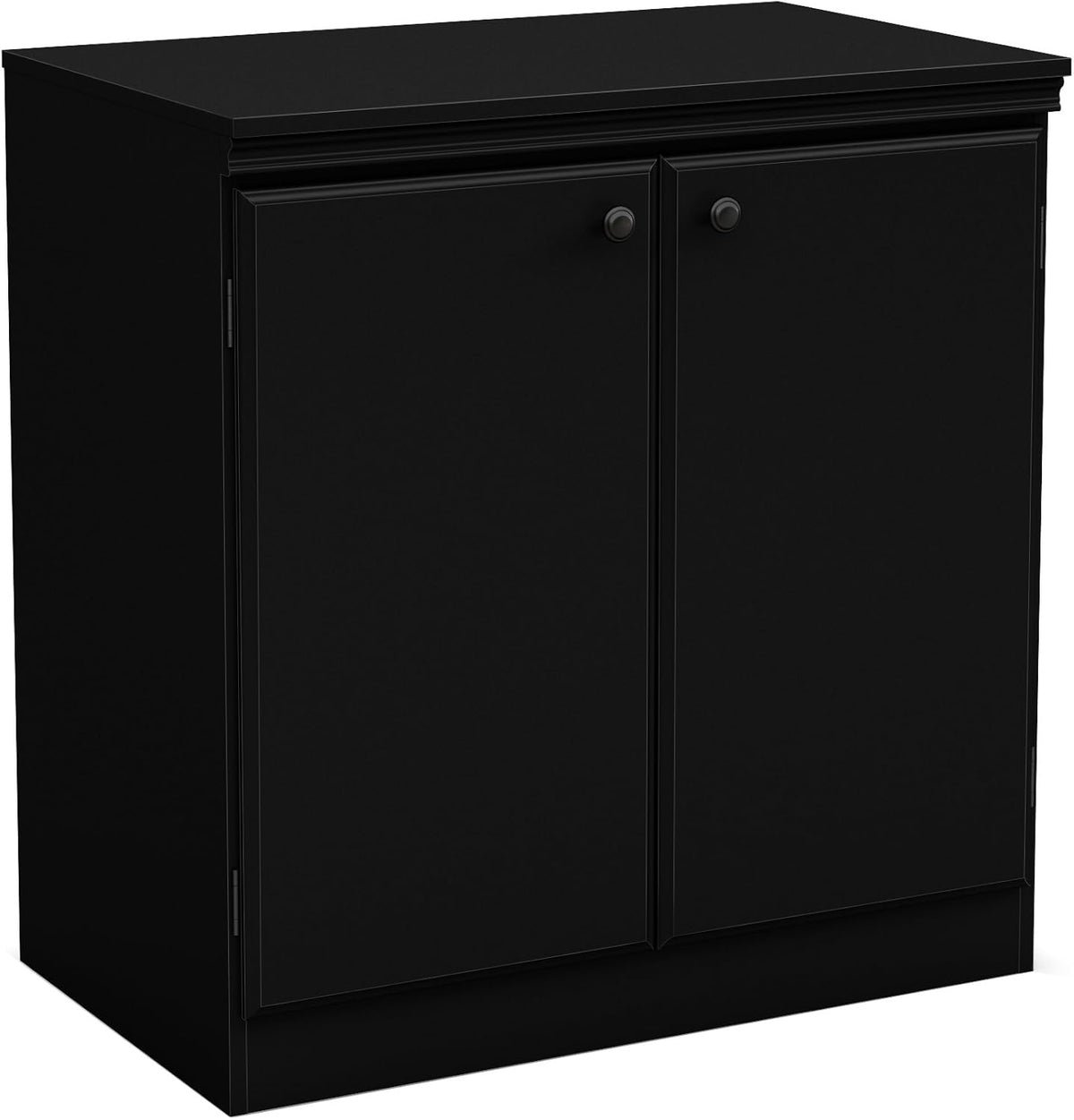 Small 2-Door Storage Cabinet with Adjustable Shelf, Pure Black R195367