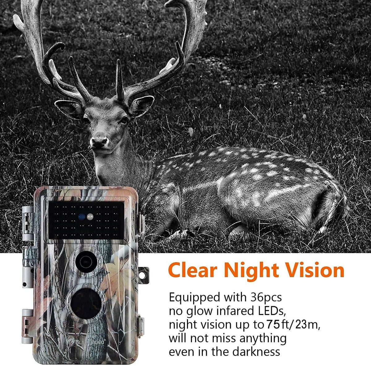 2-Pack Night Vision Trail Cameras 24MP 1296P IP66 Waterproof O2860