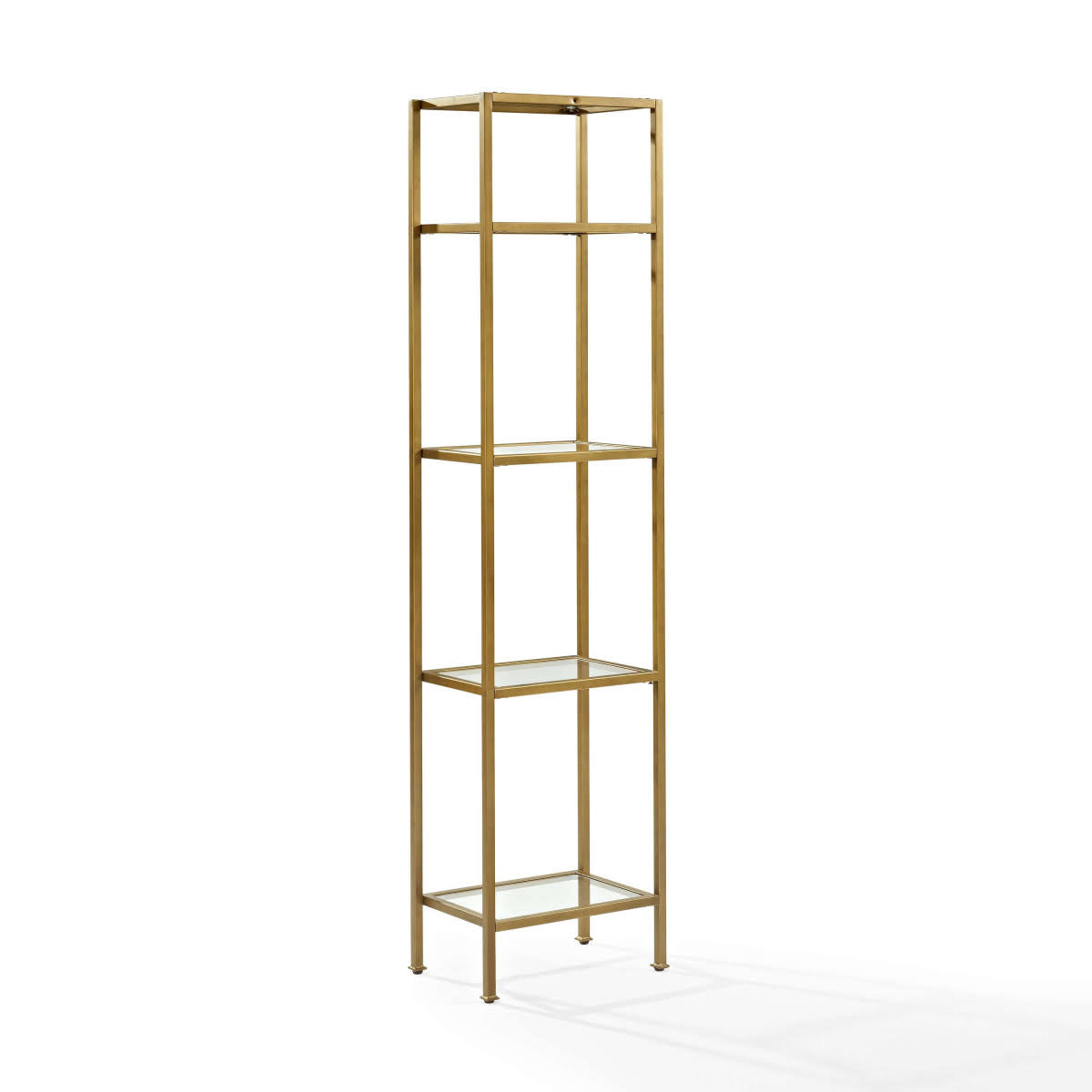 Gold Narrow Open Display Case G569
