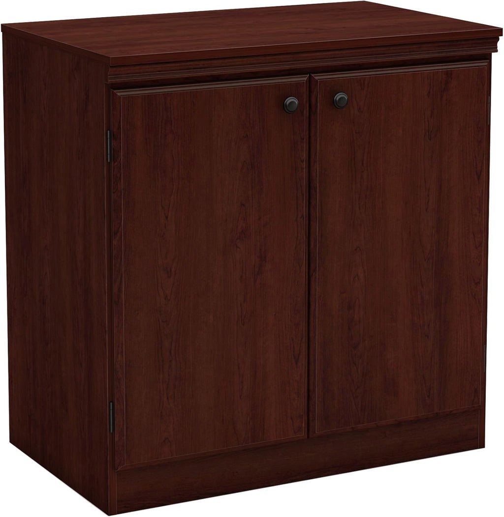 Small 2-Door Storage Cabinet with Adjustable Shelf, Pure Black R195367