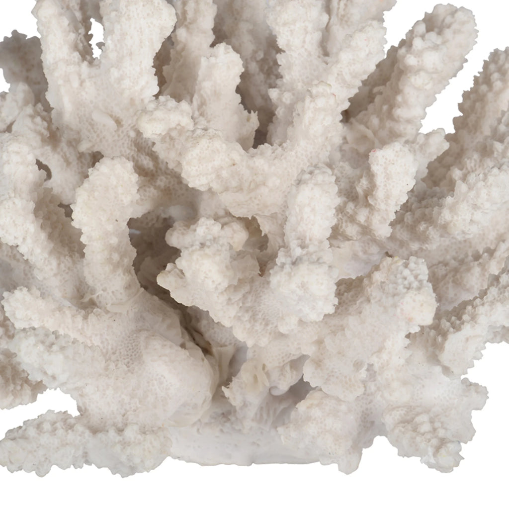 White Faux Coral Sculpture A234705