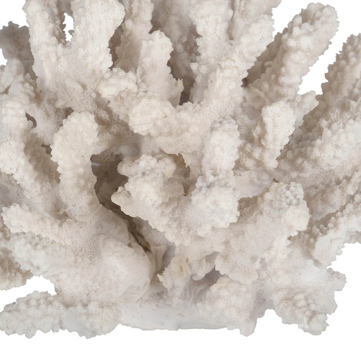 White Faux Coral Sculpture A234705