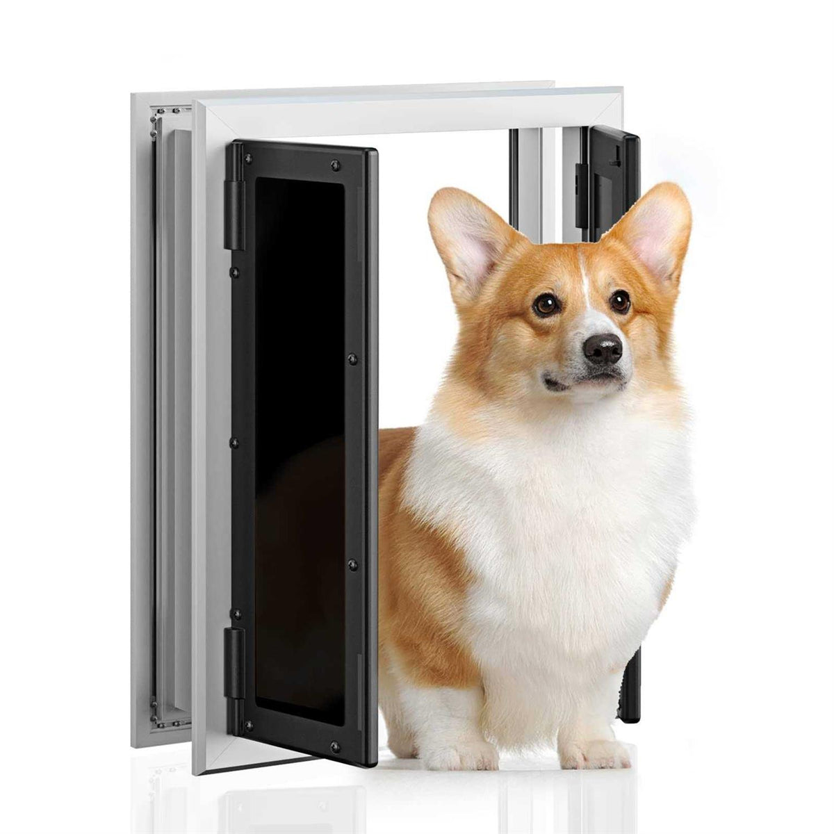 Aluminum Pet Door with Double Panels C95416