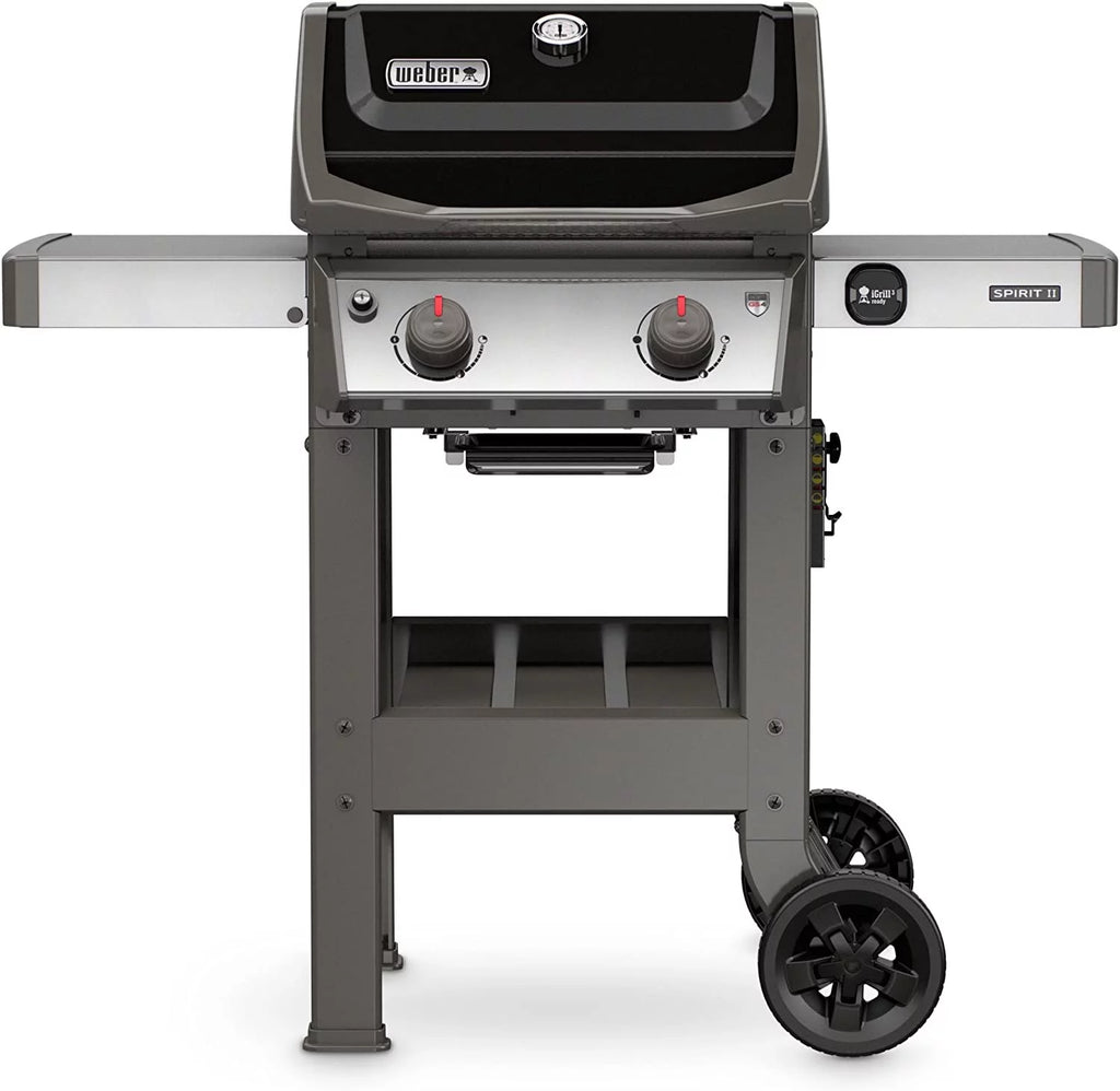Black 2-Burner Liquid Propane Grill H152