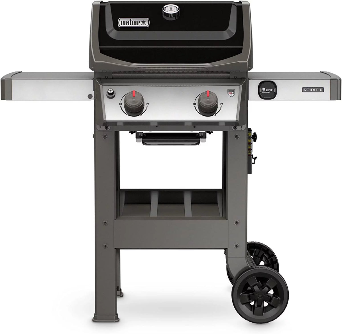 Black 2-Burner Liquid Propane Grill H152