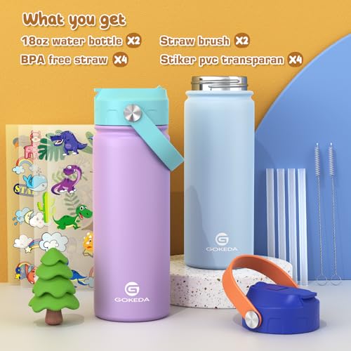 18oz Insulated Stainless Steel Kids Water Bottle with Stickers A5114