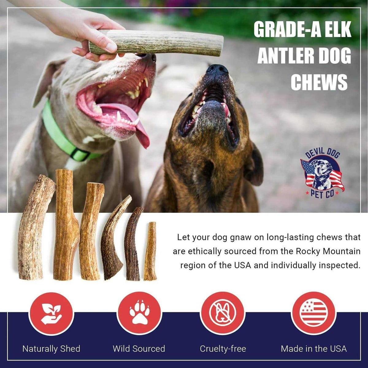 Elk Antler Dog Chew S77237