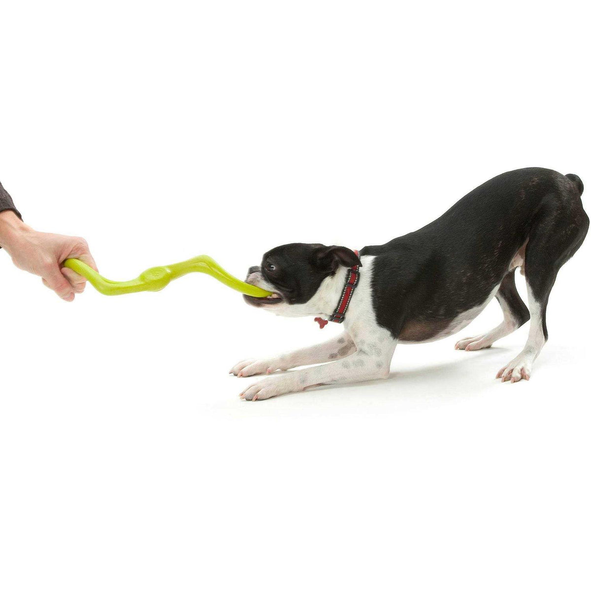 Dog Toy I45528