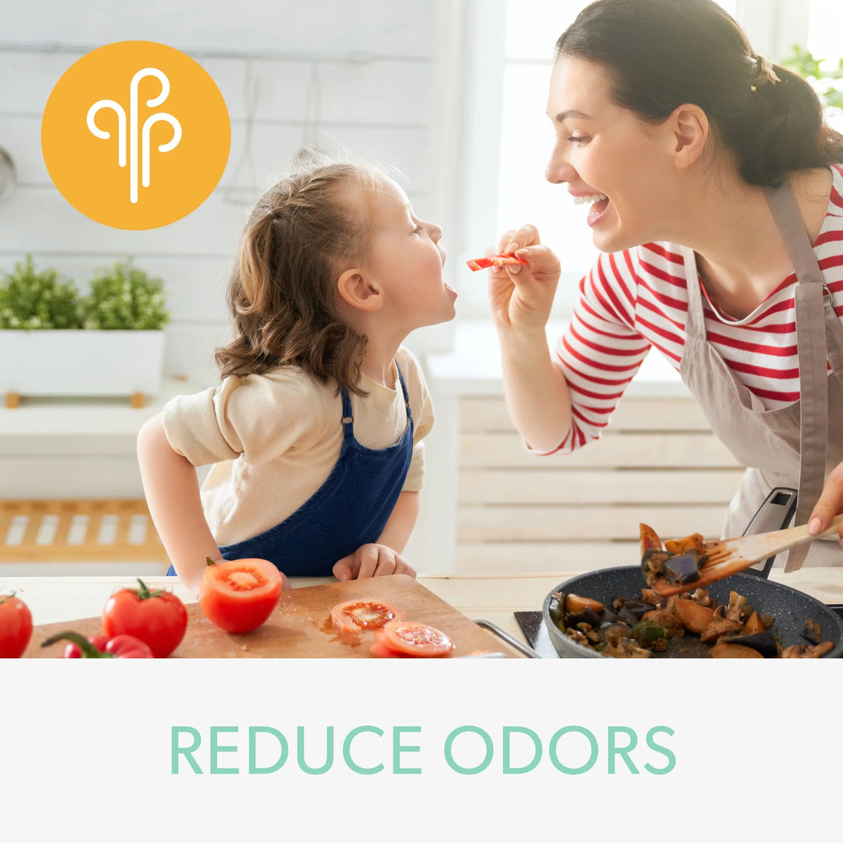 Odor & VOC Filter with True HEPA B231524